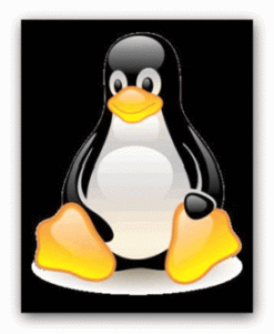 linux-logo4